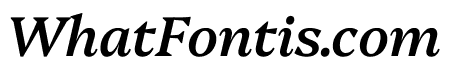 Platypi 500italic