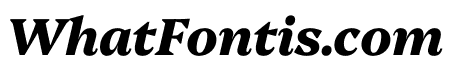 Platypi 800italic