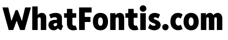Reddit Sans Condensed 900