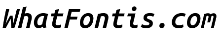 Ubuntu Sans Mono 600italic