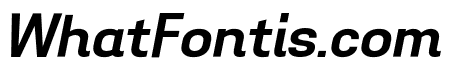 Aconit Bold Italic