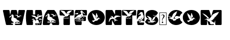 Albatross