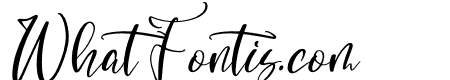 Ambrella Mildflower Italic