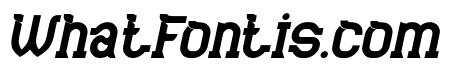 Anti Gravity Bold Italic