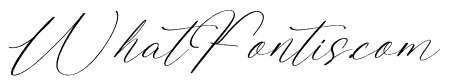 Bakery Tastyla Italic