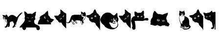 Cat cute