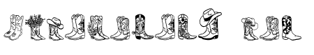 Cowboy boots