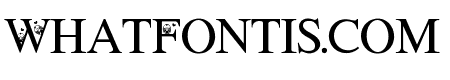 Cute Bird Font