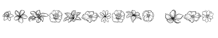 Doodle Flower