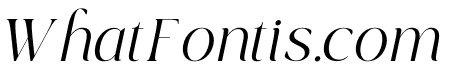 TBJ Black Gold Italic