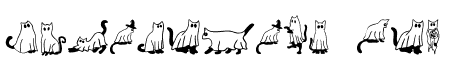 Funny cat Ghost