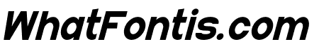 Marva Bold Italic