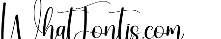 Montage Signature