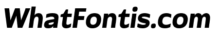 Necora Oblique Sans