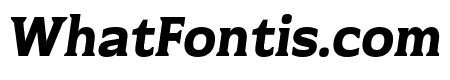 Necora Oblique Serif