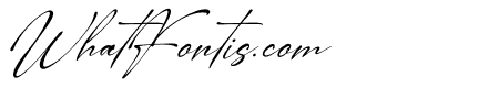 Neraltin Mistery Italic