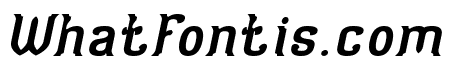 Optical Illusion Bold Italic