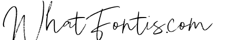 PiganeSignatureBrush-Regular