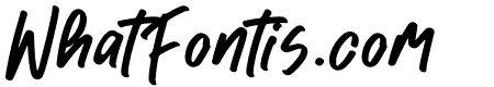 Pontipect Maxims