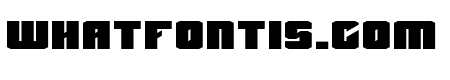 Primco Bold Bold