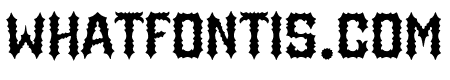 Road Ghost