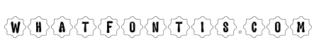 RockStar StarBorder