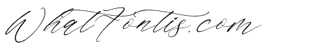 Saltngos Italic