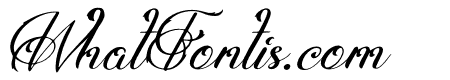 Shatoryu Italic