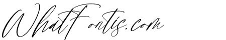 Silentone Barcelona Italic