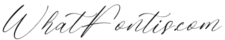 Sweetys Tasteria Italic
