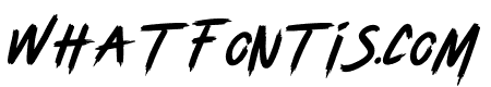 Tanisher Italic