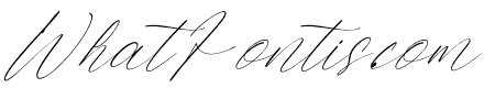 Todays Island Italic
