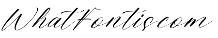 Turkish Kebab Italic
