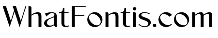 Vonca Medium