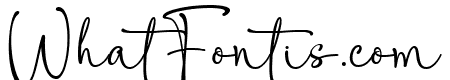 Weaknes Signature Bold Regular
