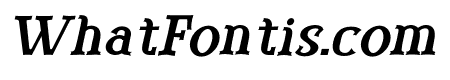  Western Roodle Bold Oblique