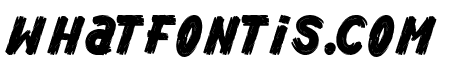 Wooden Brush