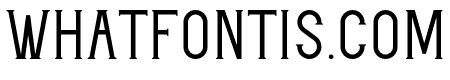 Yearlong Serif