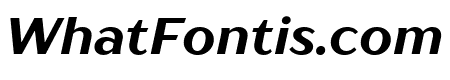 TT Drugs Bold Italic