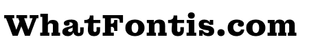 MontaguSlab16pt Bold