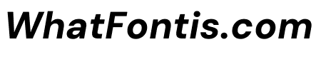 DM Sans 18pt ExtraBold Italic