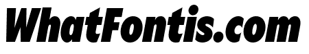 Gamay Narrow Black Italic