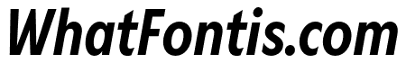 Gamay Narrow Medium Italic