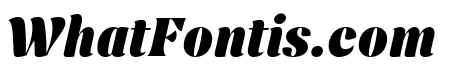 Nave Black Italic
