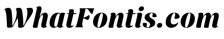 Nave Heavy Italic