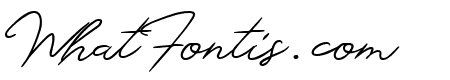 Monsttera