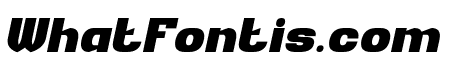 ADRENALINE RUSH Bold Italic