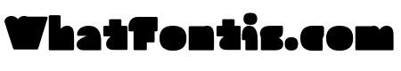 Articon Solid