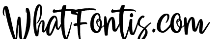 BithonBrushClean