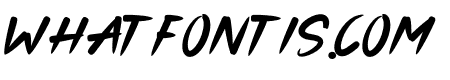 Blank Buch